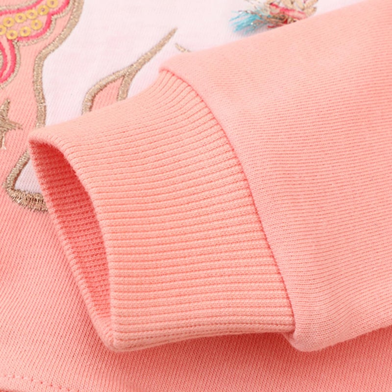 Bumeex Toddler Kids Girls Sweatshirt Long Sleeve Shirt,Unicorn Dinosaur Fashion Sweater Clothing Outfits Clothes Pink 3t - Image 5