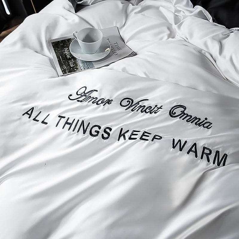 LEXIN 4 Piece Queen Size Soft Washed Silk Duvet Cover Set with Zipper Closure and Corner Ties Cooling Luxury Bedding Soft Embroidered Design White 200x230 cm - Image 5