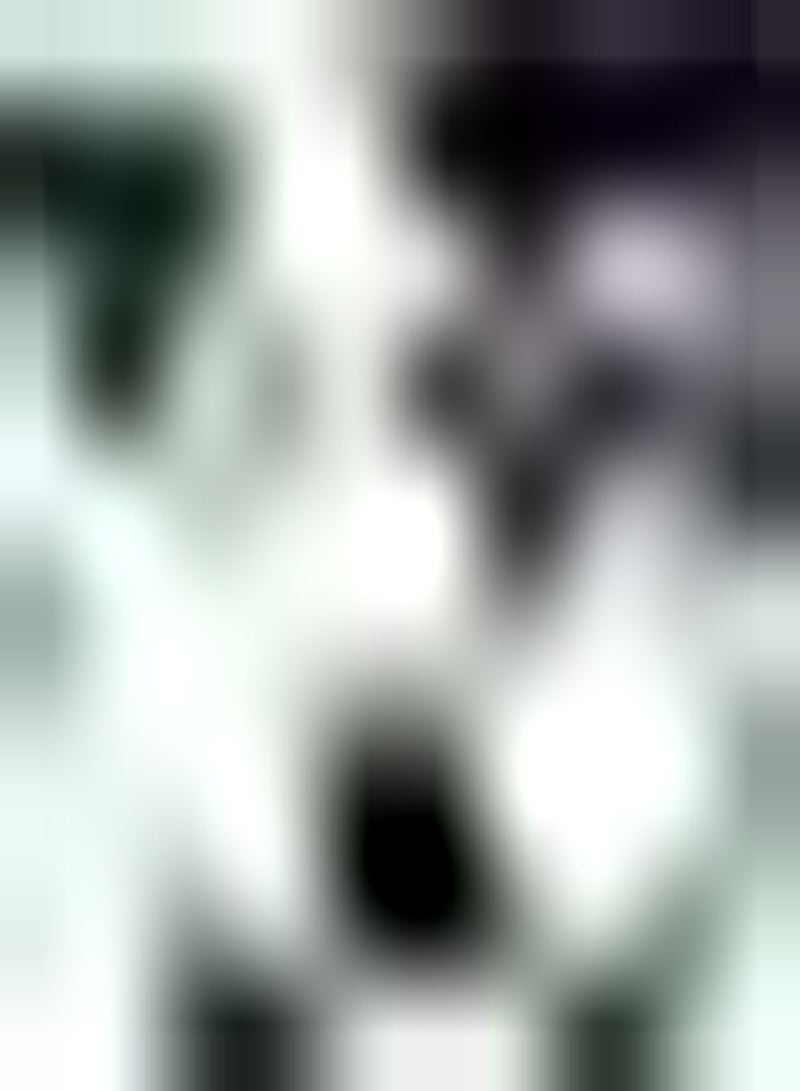 GGOOT 200pcs Eggplant seeds Need No Special Care Unique Garden Landscape Attracts Everyone Attention Essential Vegetables in The Kitchen - Image 3