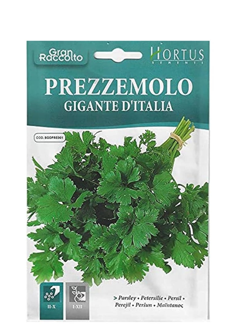 Hortus Parsley Premium Quality Seeds (Prezzemolo Gigante D’ Italia) (Made in Italy) by Hortus Sementi