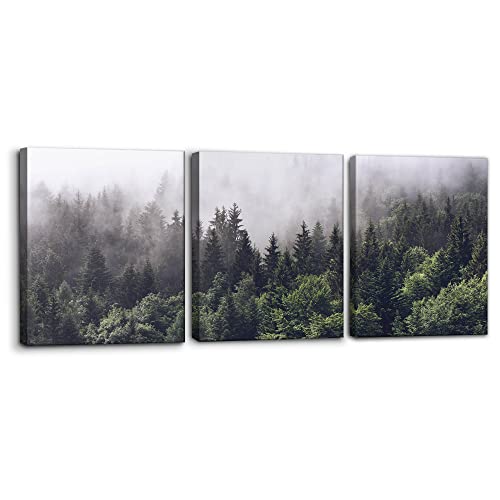 Pacimo Canvas Wall Art Fog Over Pine Tree Forest Nature Wilderness Photography Modern Art Rustic Landscape RelaxCalm Cool for Wall Decor Giclee Artwork Stretch Framed Ready to Hang 12x16x3 - Image 1