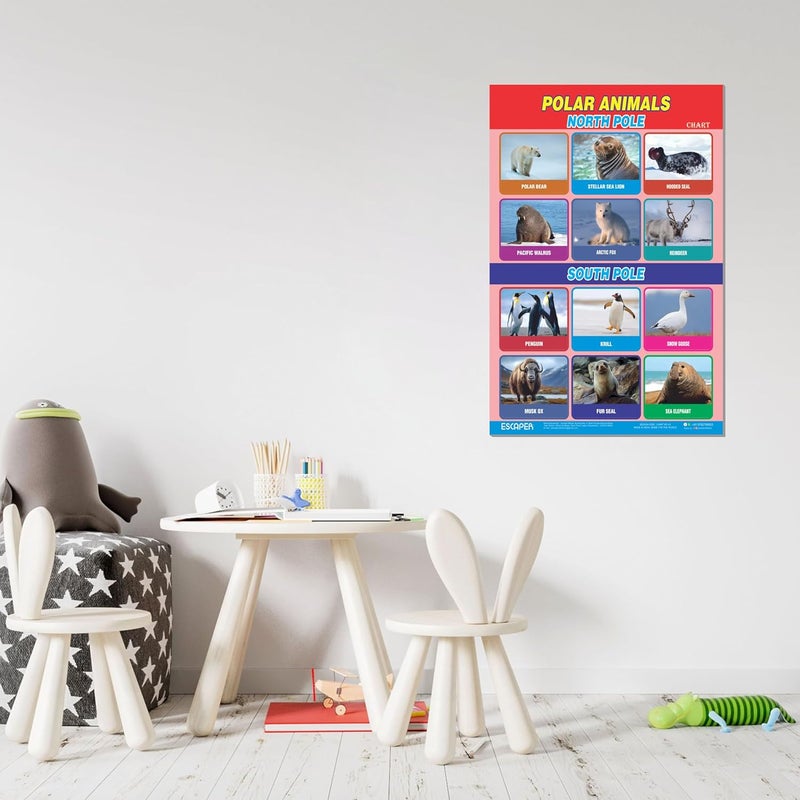 ESCAPER Polar Animals Educational Charts for Kids Learning (11.5 x 17.5 inches), 300 GSM Paper Laminated, Self Adhesive Back, Learning Chart, Kids Study Material, Educational Posters - Image 4