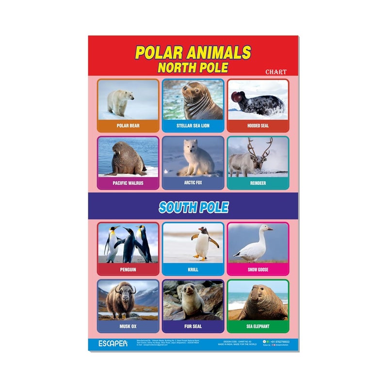 ESCAPER Polar Animals Educational Charts for Kids Learning (11.5 x 17.5 inches), 300 GSM Paper Laminated, Self Adhesive Back, Learning Chart, Kids Study Material, Educational Posters - Image 1