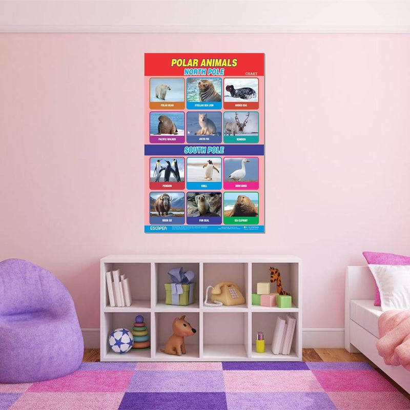 ESCAPER Polar Animals Educational Charts for Kids Learning (11.5 x 17.5 inches), 300 GSM Paper Laminated, Self Adhesive Back, Learning Chart, Kids Study Material, Educational Posters - Image 5