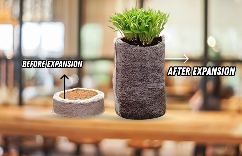 Halsey Coir Seed Germination Coin/Compressed Coconut Husk fibers for Gardening Seedling Tray (35 MM, Pack of 25PC) - Image 5