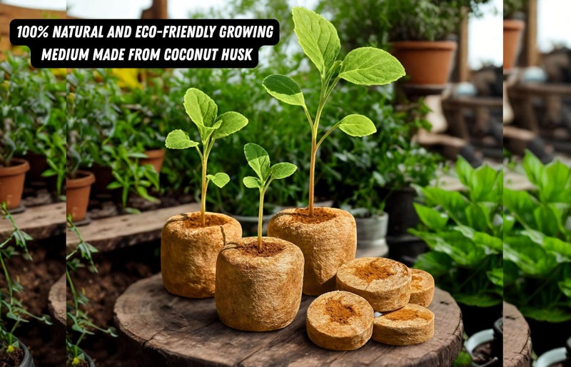 Halsey Coir Seed Germination Coin/Compressed Coconut Husk fibers for Gardening Seedling Tray (35 MM, Pack of 25PC) - Image 3