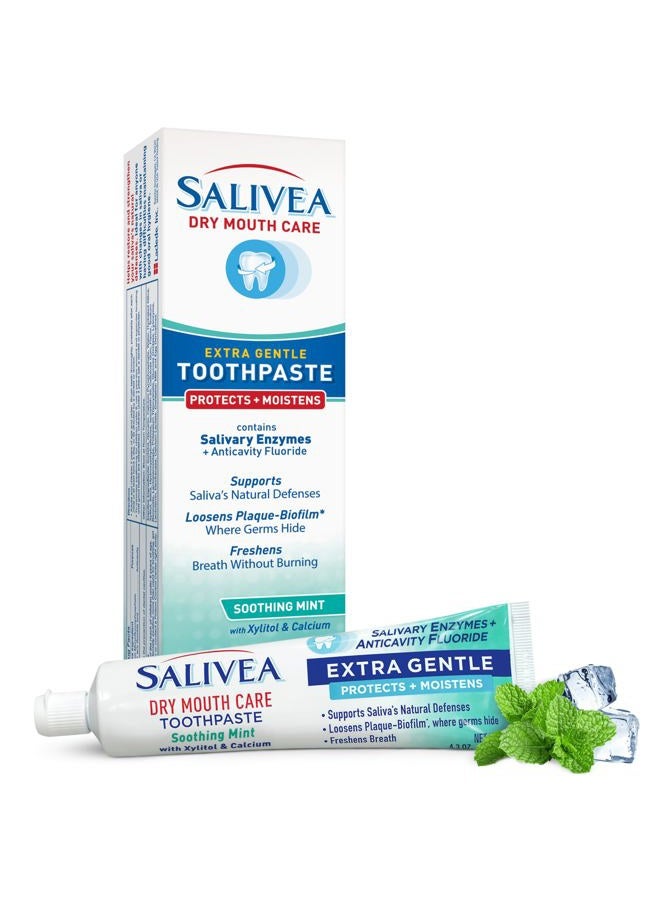 Salivea Dry Mouth Toothpaste with Xylitol - Image 1