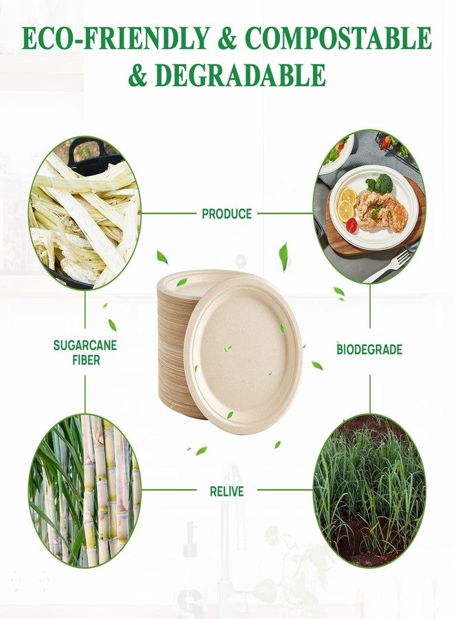 Vplus 150 Pack Paper Plates 9 inch 100% Compostable, Heavy-Duty Disposable Paper Plates Bagasse Natural Biodegradable Eco-Friendly Sugarcane - Image 5