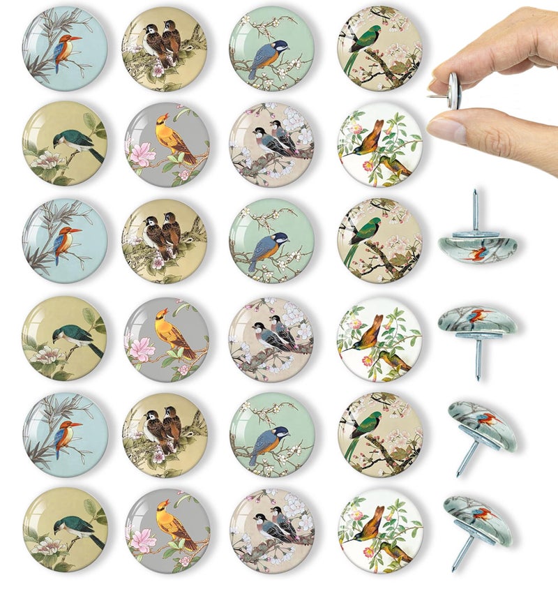 Tandarui 24Pcs Bird Decorative Pins and Tacks, Thumb Tacks for Bulletin Board,Cork Board Thumbtacks,Pin Board for Cork Board,Office Decor,or Home DÃ©cor - Image 1