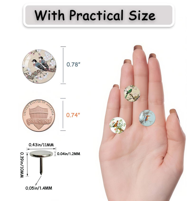 Tandarui 24Pcs Bird Decorative Pins and Tacks, Thumb Tacks for Bulletin Board,Cork Board Thumbtacks,Pin Board for Cork Board,Office Decor,or Home DÃ©cor - Image 4