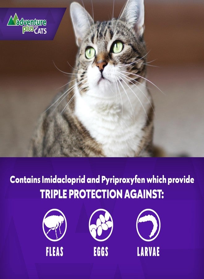 Adventure Plus Triple Flea Protection for Cats - Spot on Flea & Tick Prevention for Cats 9lbs & over - 4 Doses - Image 3