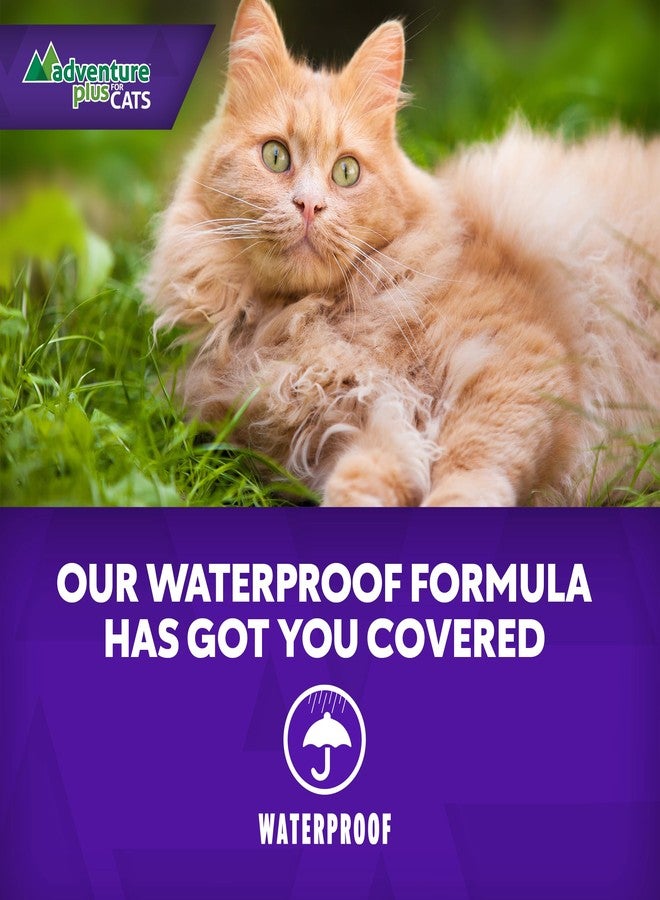 Adventure Plus Triple Flea Protection for Cats - Spot on Flea & Tick Prevention for Cats 9lbs & over - 4 Doses - Image 4