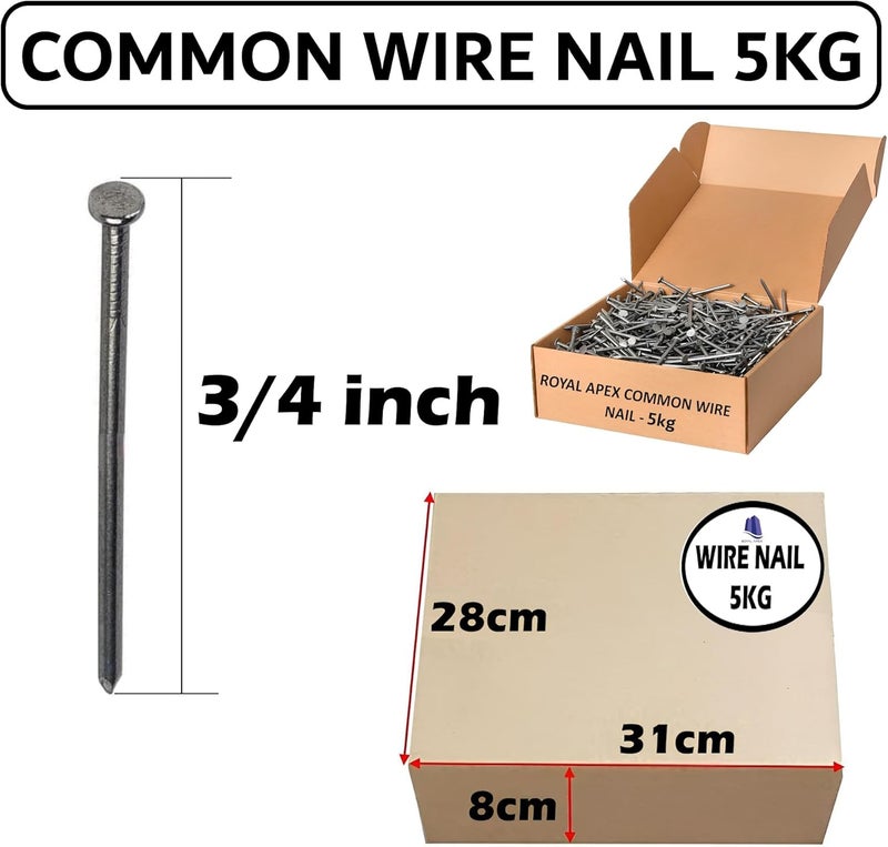 Royal Apex 3/4inch 5kg Common Wire Round Head Nails - Image 2