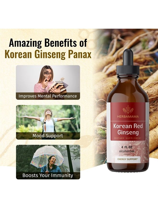 HERBAMAMA Ginseng Liquid Extract - Korean Red Ginseng Drops - Panax Ginseng Root Tincture Complex - Vegan Supplement - 4 fl oz - Image 3