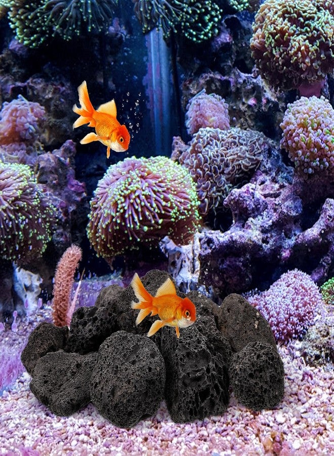 FOMIYES 1 Pack of Natural for Aquariums and Potted Plants, Small Volcanic Stones for Decorative Use, Ideal for Landscaping and Drainage - Image 2