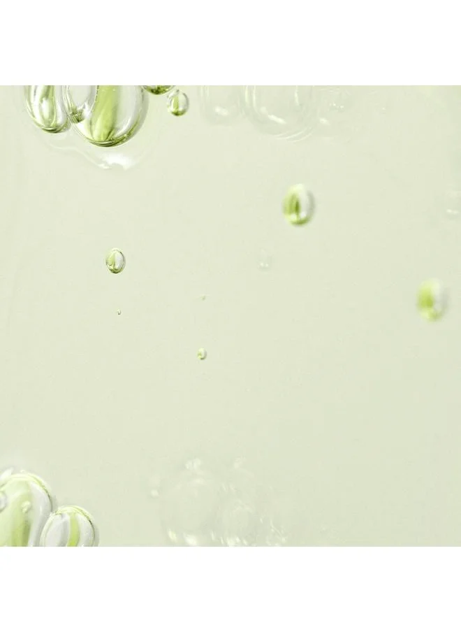 Beauty of Joseon Calming Serum : Green tea + Panthenol