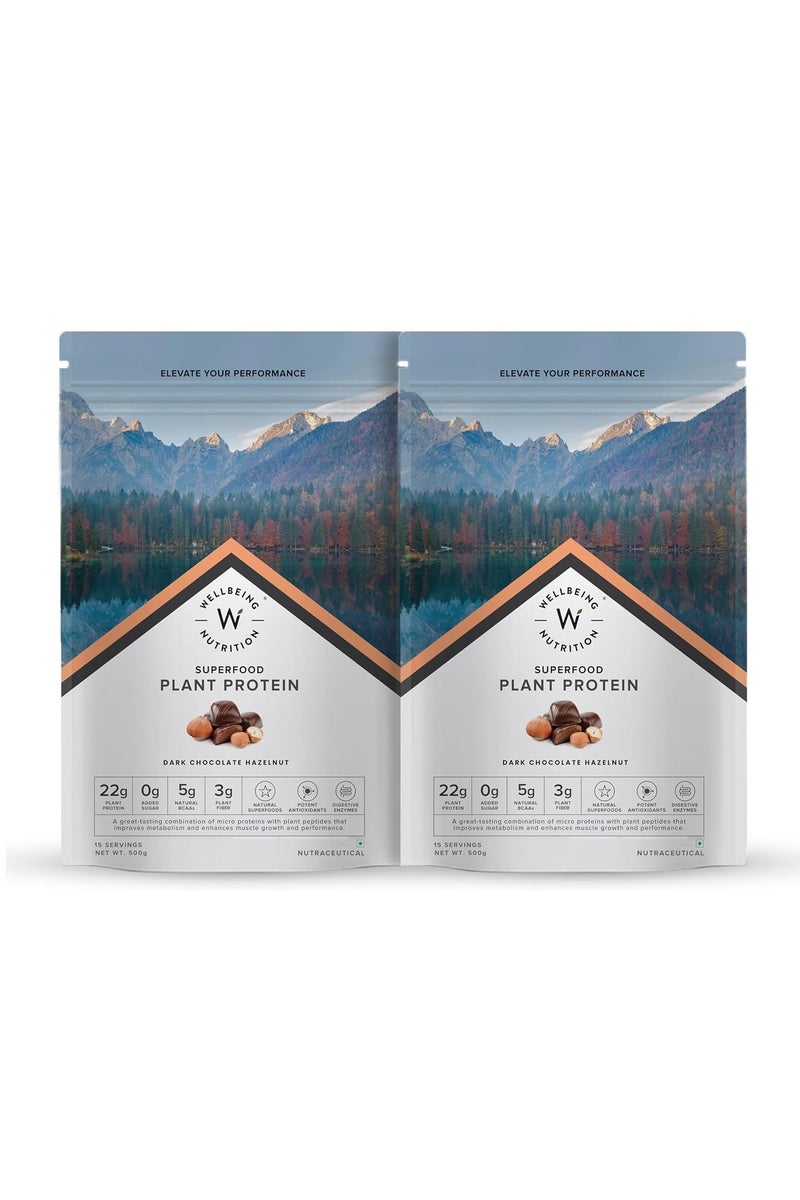 WELLBEING NUTRITION Superfood Plant Protein Dark Chocolate Hazelnut, 500gm, Pack Of 2