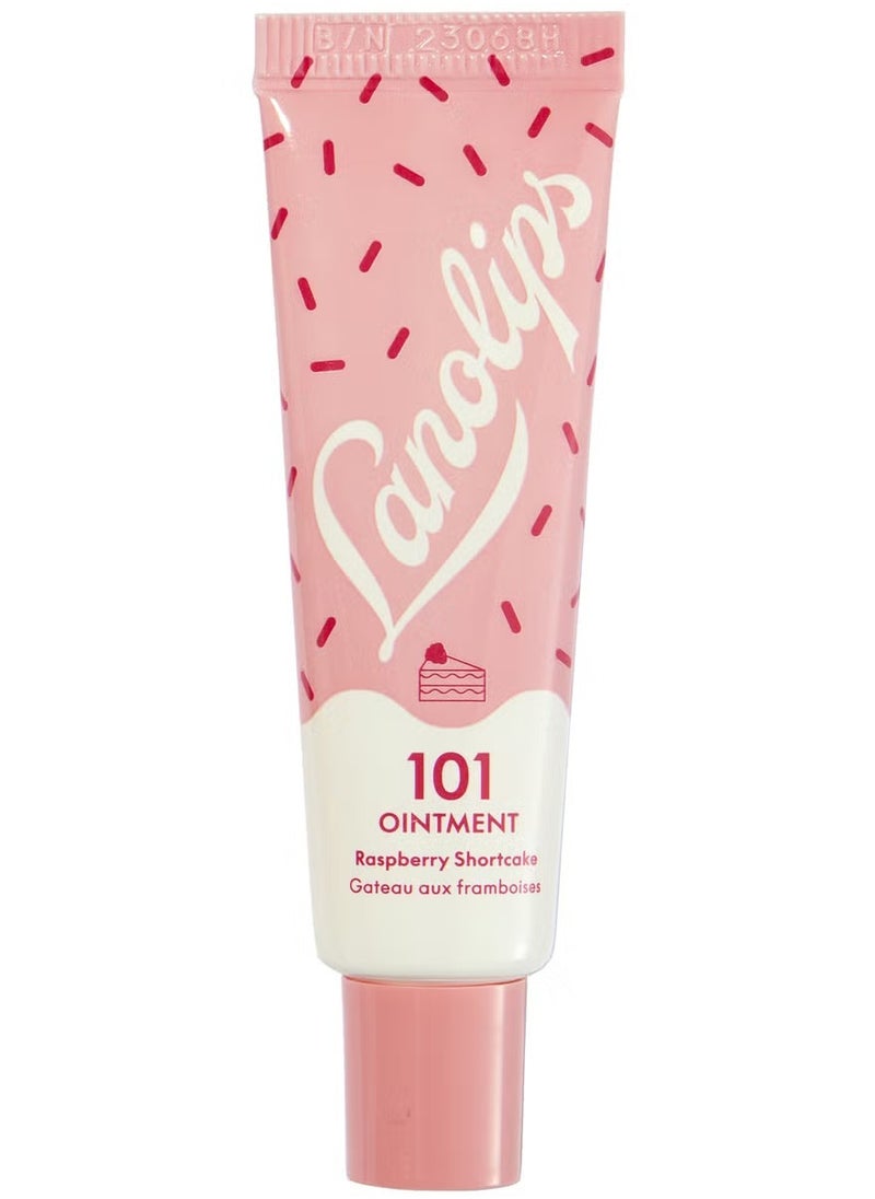 LANOLIPS 101 Ointment Multi-balm- Raspberry shortcake, 10g - pzsku/Z45E3ED07385EB8BCFCDDZ/45/_/1737617974/1be04ca3-91d7-43eb-be16-a86feadedefb