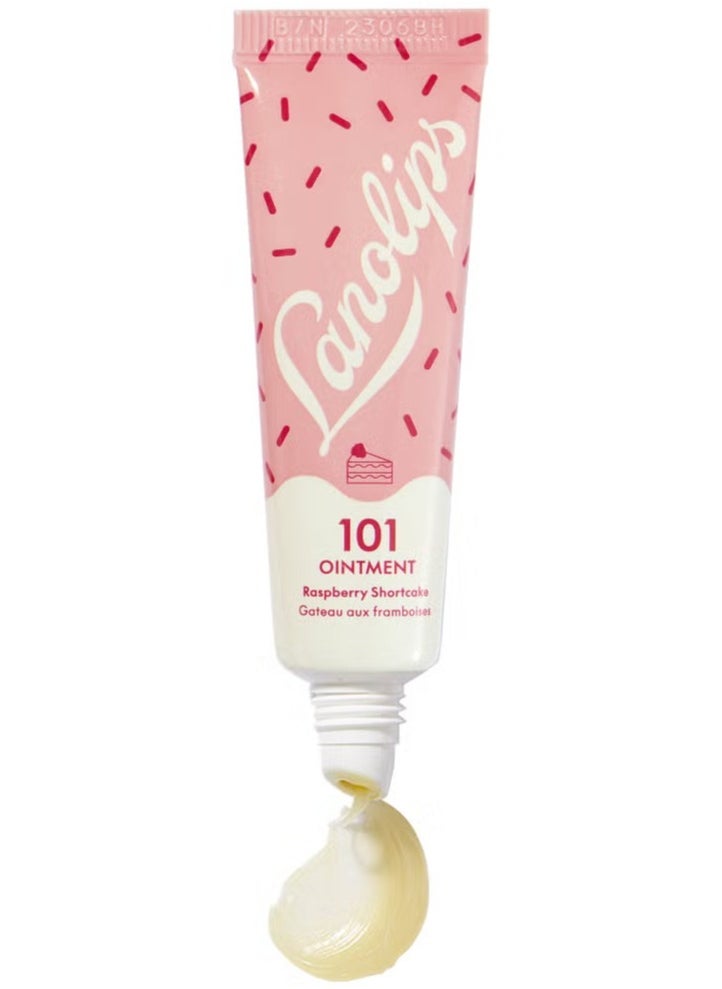 LANOLIPS 101 Ointment Multi-balm- Raspberry shortcake, 10g - pzsku/Z45E3ED07385EB8BCFCDDZ/45/_/1737617975/d82e4ac1-c7f5-42bb-b960-8996068cc4c8