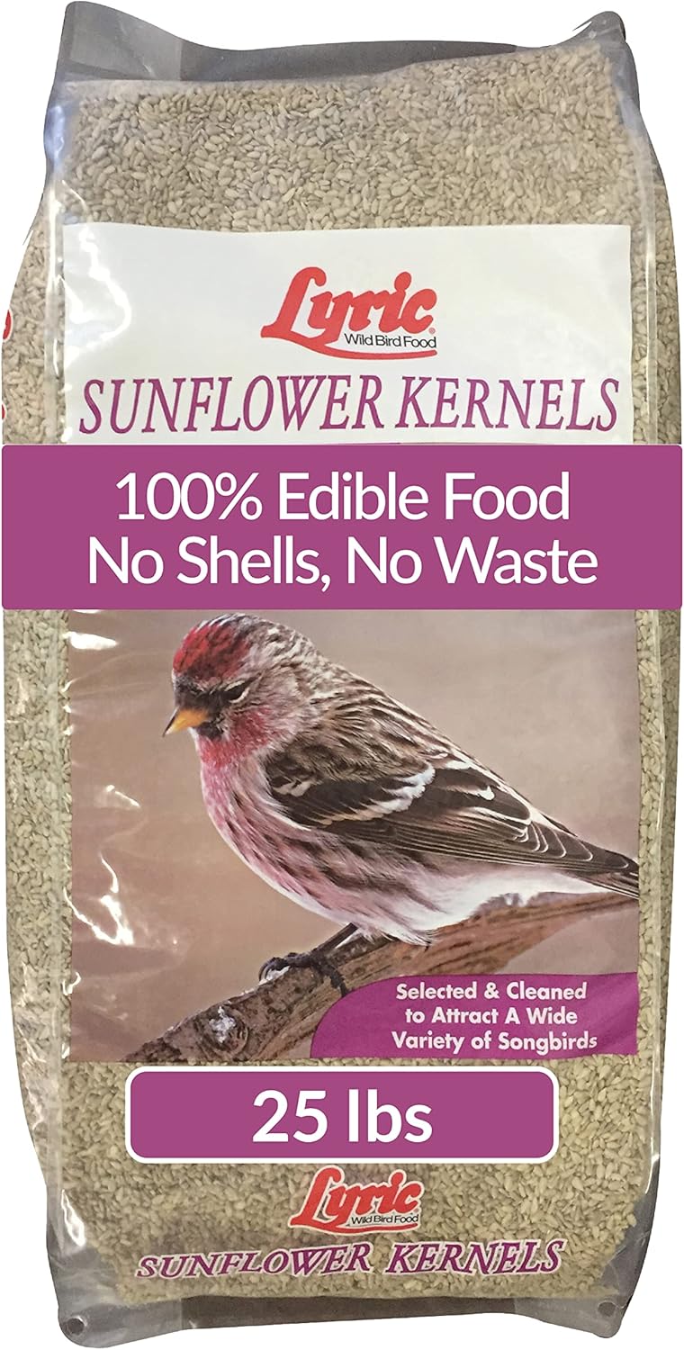 Lyric 2647446 Sunflower Kernels - 25 lb. - Image 1