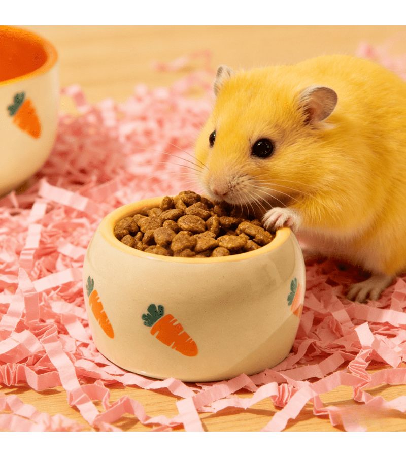 1pc Anti Tip Ceramic Feeding Bowl For Small Pets Hamster Rabbit Chinchilla - Image 4