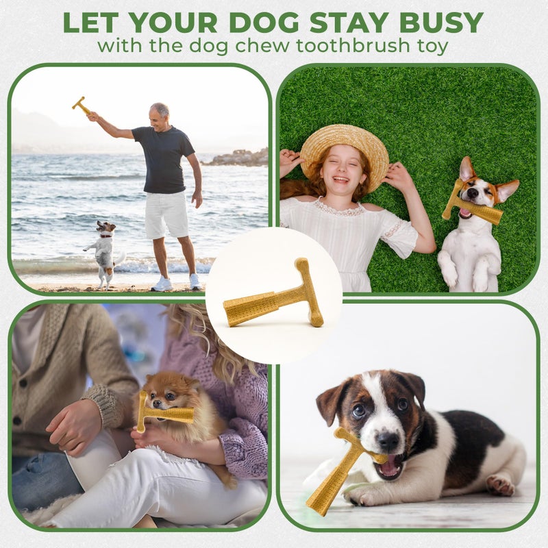 SPOT Bam-Bones Plus T-Bone, Bamboo Fiber & Nylon Dog Chew, Durable for Aggressive Chewers, Non-Splintering, for Adult Dogs & Teething Puppies Under 30lbs, 4in, Chicken Flavor - Image 5