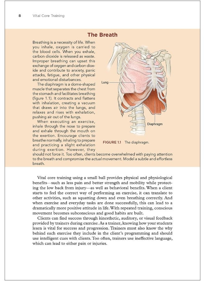 null - Vital Core Training: Improve Strength and Reduce Pain with Functional Movement - Image 1