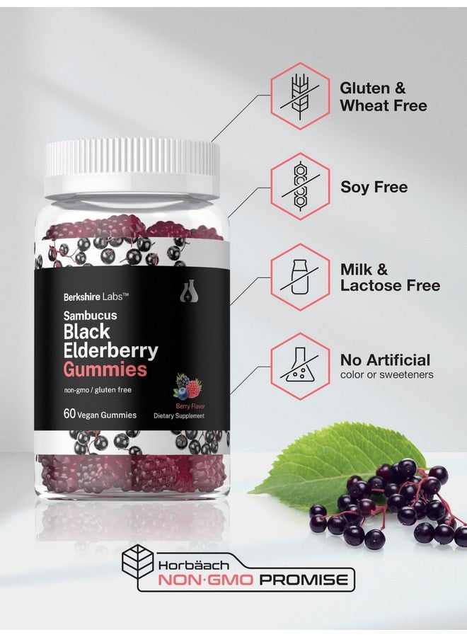 Horbäach Horbaach Sambucus Black Elderberry Gummies | 60 Count | with Zinc and Vitamin C | Vegan, Non-GMO, Gluten Free Extract for Adults | Berry Flavor | by Berkshire Labs - Image 5