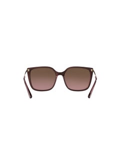 Woman Sunglasses Top Red On Transparent Pink Frame, Pink Gradient Brown Lenses, 54Mm - pzsku/Z45E9233D8FD8D9A66D37Z/45/_/1735817432/c572353e-a812-4d16-abb9-c69f65e9d122