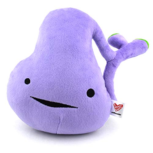 I Heart Guts Gallbladder Plush Toy - 8" Organ Stuffed Animal - Gallbladder Removal Surgery Recovery Gifts, Gallstone Get Well Gift, Funny Post-Op Must-Have - Image 1