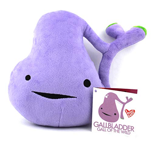 I Heart Guts Gallbladder Plush Toy - 8" Organ Stuffed Animal - Gallbladder Removal Surgery Recovery Gifts, Gallstone Get Well Gift, Funny Post-Op Must-Have - Image 3