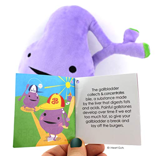 I Heart Guts Gallbladder Plush Toy - 8" Organ Stuffed Animal - Gallbladder Removal Surgery Recovery Gifts, Gallstone Get Well Gift, Funny Post-Op Must-Have - Image 4