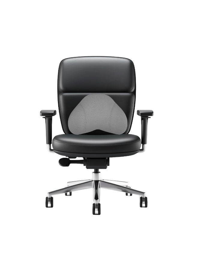 3XR Memory Foam Lumbar Support Cushion for Chair Grey – Ergonomic Back Rest with Washable Cover, Butterfly Design, Pain Relief for Office, Home, Car & Wheelchair 46×31 cm - Image 1