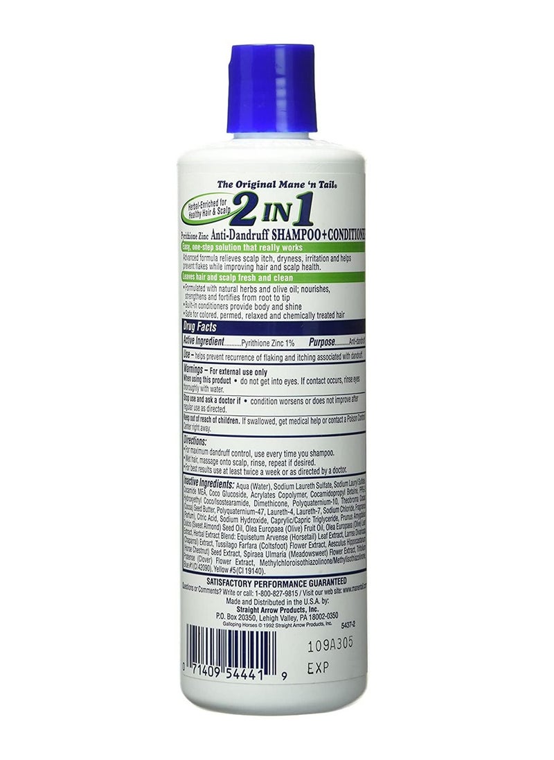 Daily Control 2-In-1 Shampoo Plus Conditioner 355ml