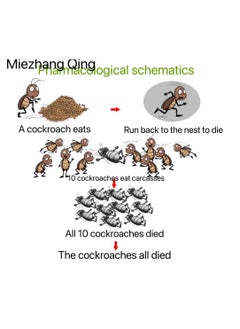 Miezhang Qing Cockroach Killer Powder 5 Pieces 8g  - Image 3