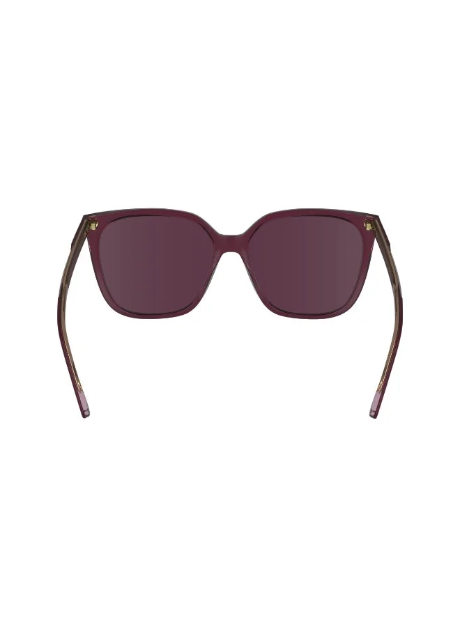 CALVIN KLEIN FULL RIM ACETATE CALVIN KLEIN SUN CK24509S