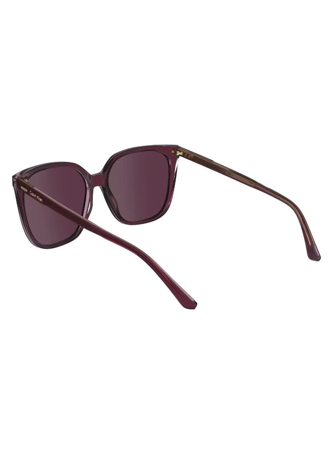 CALVIN KLEIN FULL RIM ACETATE CALVIN KLEIN SUN CK24509S
