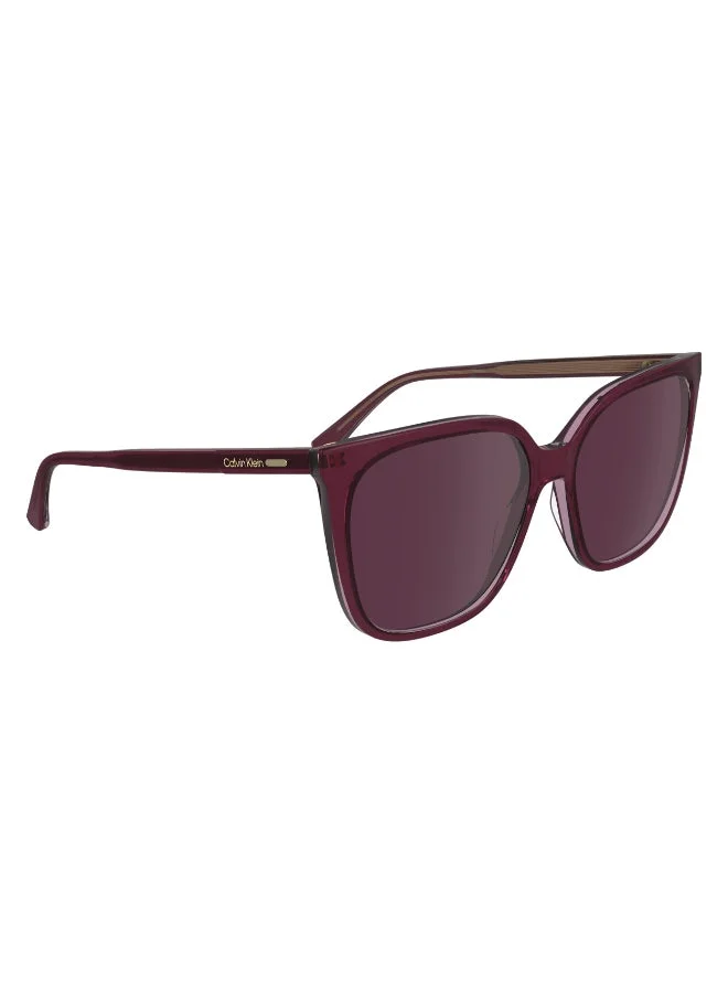 CALVIN KLEIN FULL RIM ACETATE CALVIN KLEIN SUN CK24509S
