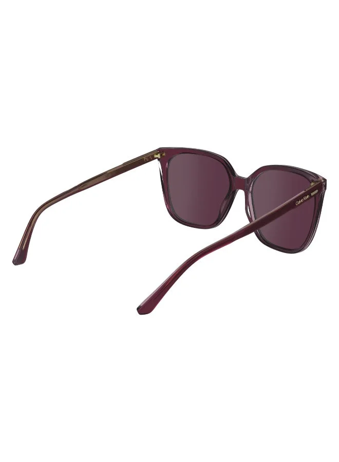 CALVIN KLEIN FULL RIM ACETATE CALVIN KLEIN SUN CK24509S