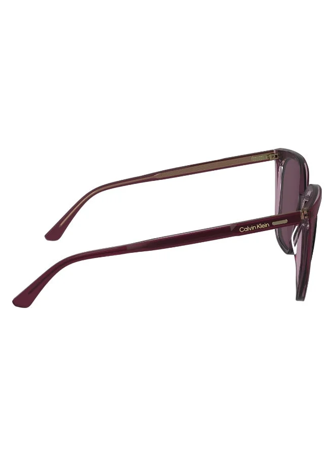CALVIN KLEIN FULL RIM ACETATE CALVIN KLEIN SUN CK24509S