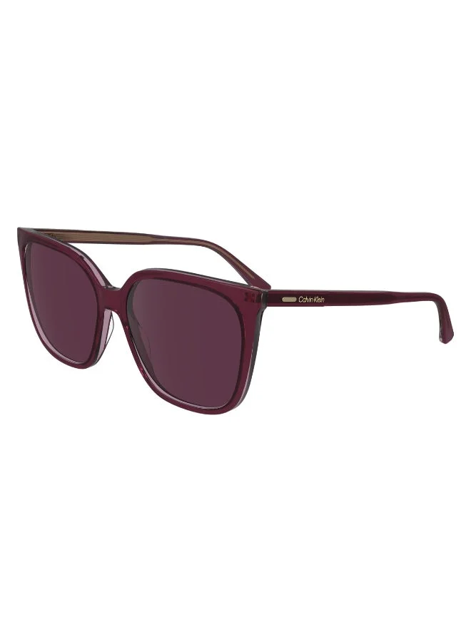 CALVIN KLEIN FULL RIM ACETATE CALVIN KLEIN SUN CK24509S