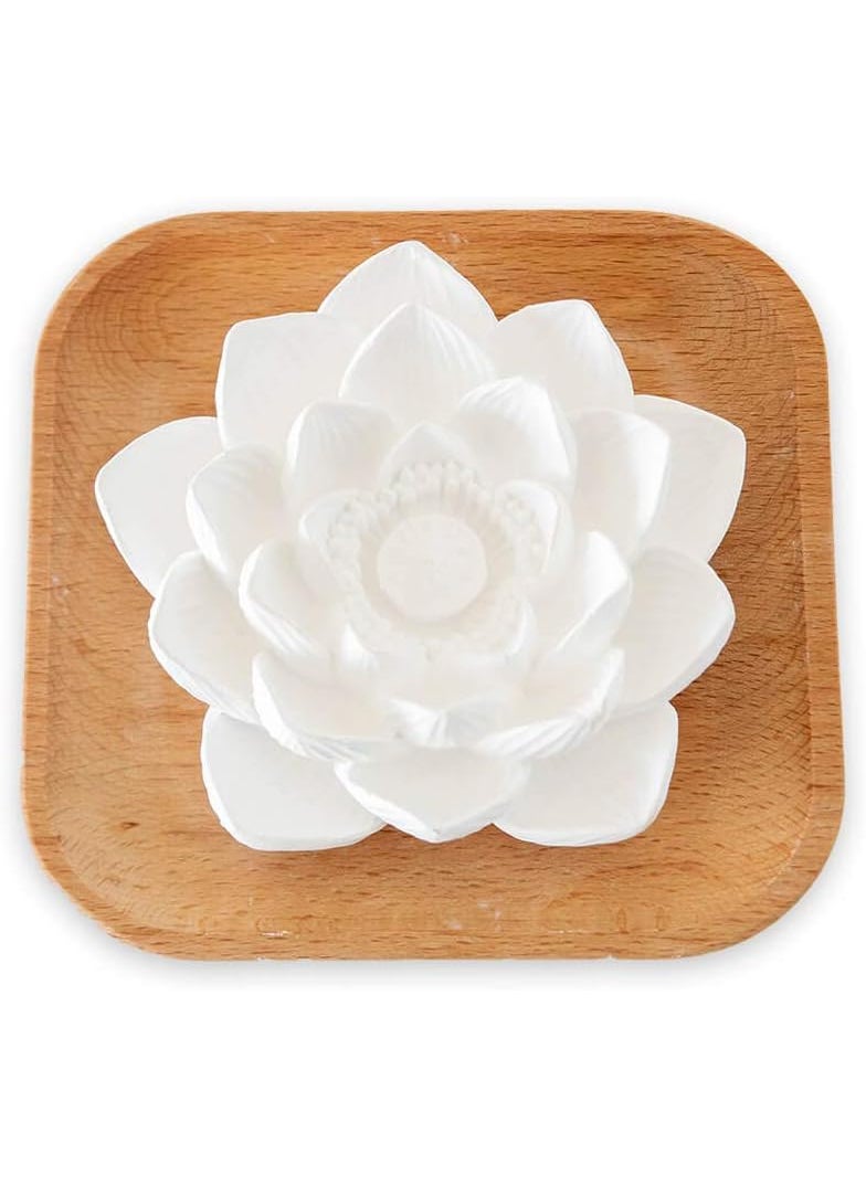 Plant Therapy Plant Therapy Passive Lotus Flower Aromatherapy Diffuser - A Chic and Natural Home, Office, and Travel Essential Oil Diffuser 