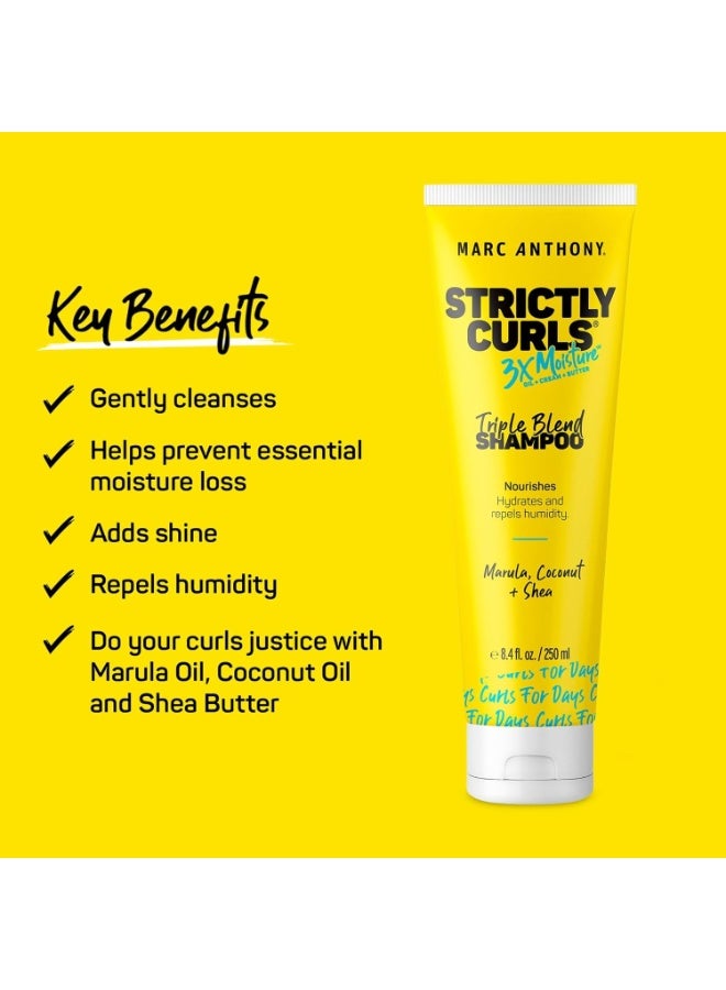 مارك أنتوني شامبو ستريكتلي كيرلز المرطب ثلاثي الأبعاد لتحديد تجعيدات الشعر وتعزيزها - زبدة الشيا وزيت المارولا والصبار وكريم جوز الهند - خالٍ من الكبريتات وآمن على لون الشعر - Image 2