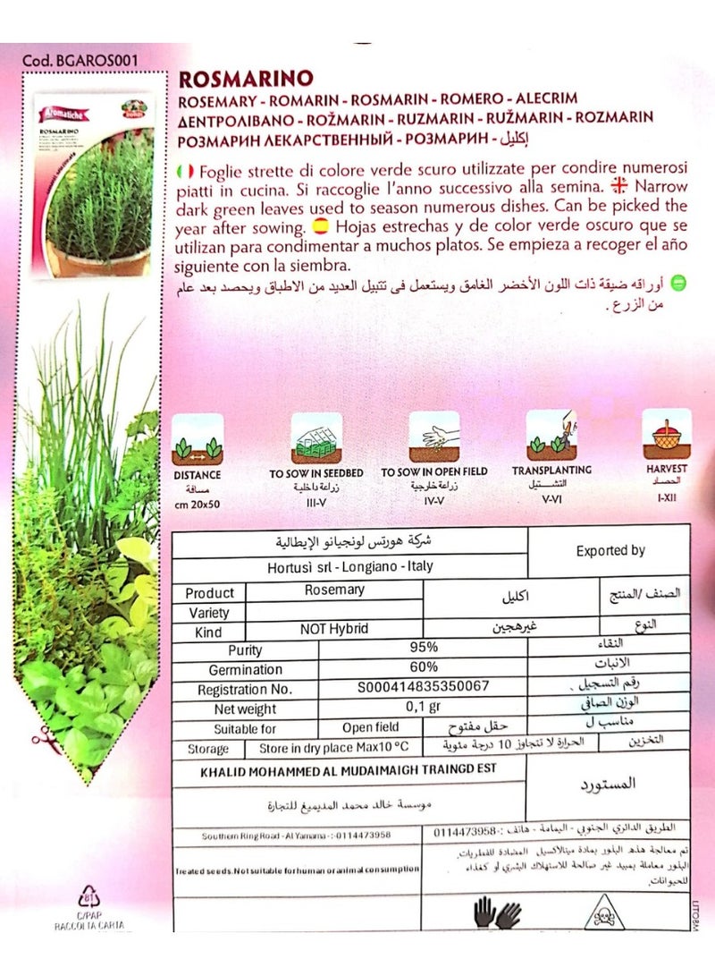 ZORZI Rosemary Seeds - Image 2