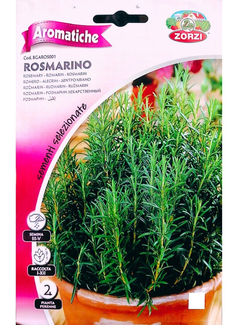 ZORZI Rosemary Seeds - Image 1