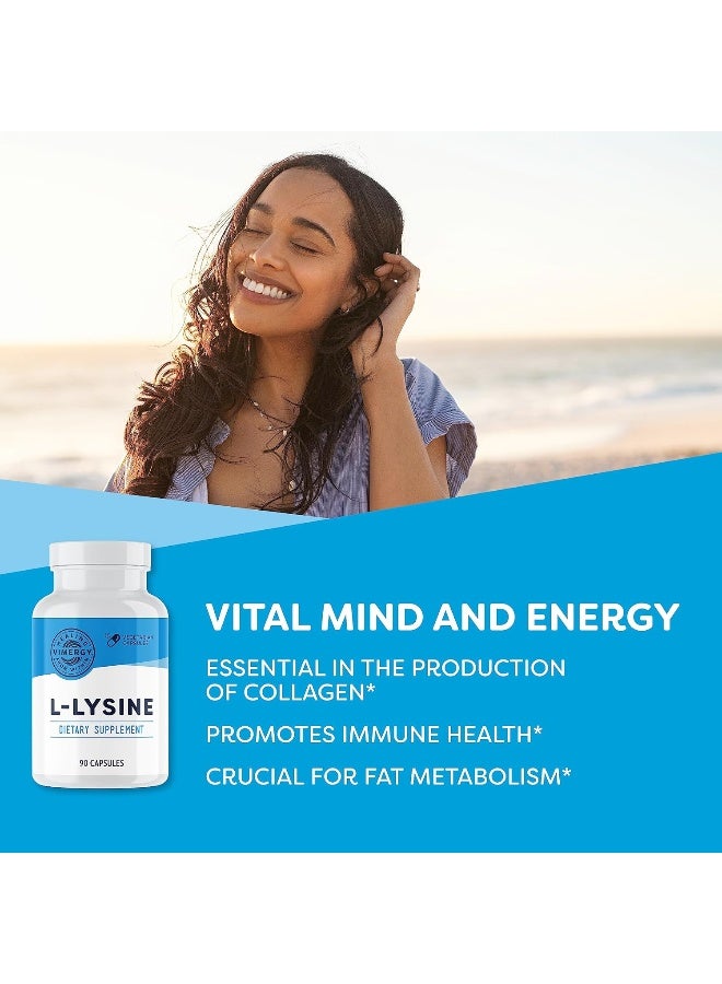 Vimergy L-Lysine 500Mg Capsules, 270 Servings – Essential Amino Acid – Supports Immune System, Healthy Skin, Muscles, Bone & Tissue – Vegetarian, Non-Gmo, No Gluten, Kosher - Image 2