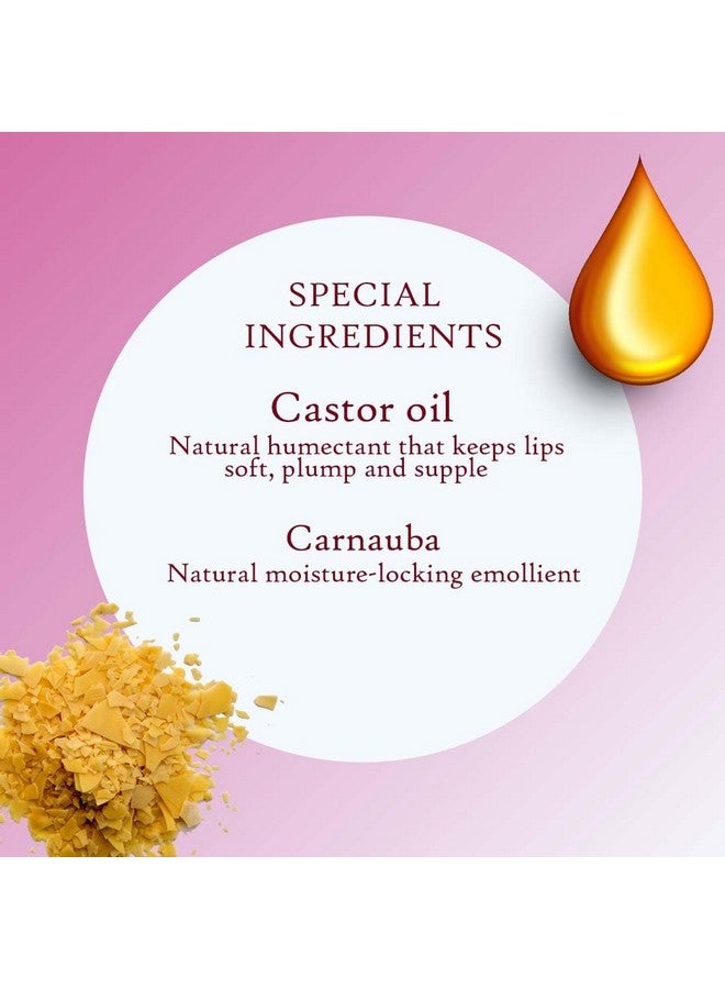 دازلير قلم تحديد الشفاه Lined & Loaded مع مبراة مدمجة (عبوة من 15 قطعة) - لمسة نهائية غير لامعة | خفيف الوزن | دقيق | يدوم طويلاً | مع زيت الكارنوبا والخروع | 15 درجة من الكمال - Image 3