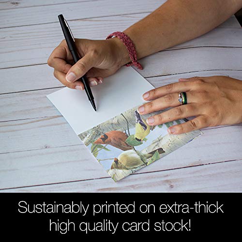 Tree-Free Greetings EcoNotes 12 Count Favorite Songbirds All Occasion Notecard Set with Envelopes, 4 x 6 Inches (FS66507) - Image 4