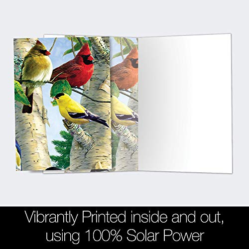 Tree-Free Greetings EcoNotes 12 Count Favorite Songbirds All Occasion Notecard Set with Envelopes, 4 x 6 Inches (FS66507) - Image 3