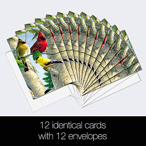 Tree-Free Greetings EcoNotes 12 Count Favorite Songbirds All Occasion Notecard Set with Envelopes, 4 x 6 Inches (FS66507) - Image 2